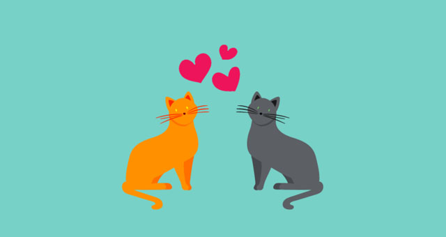 Love Cats Marie Boland Valwen